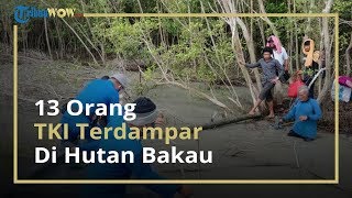 Ditelantarkan di Hutan Bakau, 13 TKI Ini Tidak Makan Dua Hari Dua Malam
