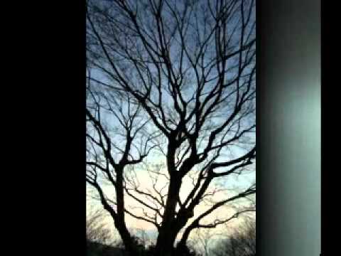 maakhai (suih lun & lian pi )