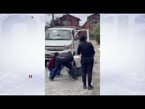 AKITA ATACÓ A HOMBRE EN SAN PEDRO DE LA PAZ