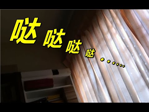 家裡有電磁波的聲音