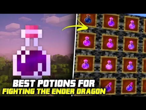 Mine Chunk - EDUCATION EDITION: 7 BEST POTIONS FOR FIGHTING THE ENDER DRAGON IN MINECRAFT 1.19