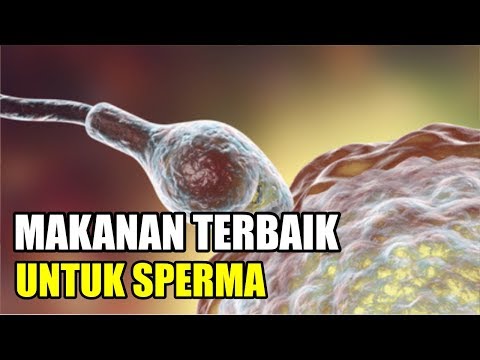 Patogen pria membeli toko online murah Mengapa anggota dari besar dan kadang-kadang kecil