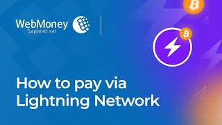 How to pay via Lightning Network in WebMoney Merchant