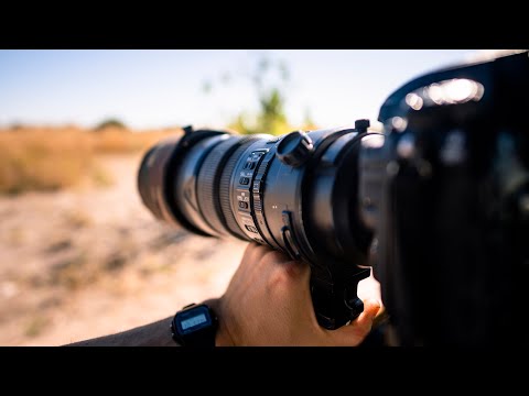Nikon 300mm 2.8 VR II review, maybe the best budget SUPER TELEPHOTO for WILDLIFE PHOTOGRAPHY 2020!