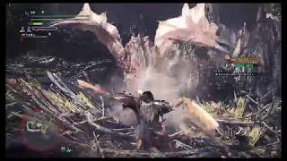 【MHWベータ】リオレウス双剣ソロ