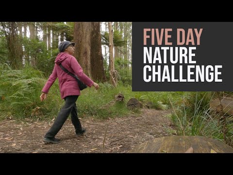 SHERBROOKE | How can ONE TRACK be so DIFFERENT every day??