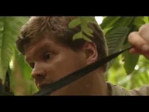 Ray Mears' Extreme Survival S01E01 - Jungle Ssurvival