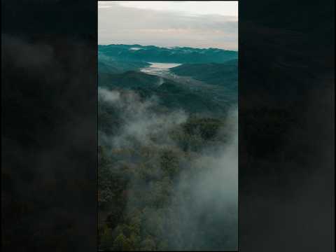 fog clouds | Forest And Lake | Earth Beauty #foggy #lake #nature #travel #shorts #@natuemine