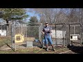 How I Keep Kennels Clean