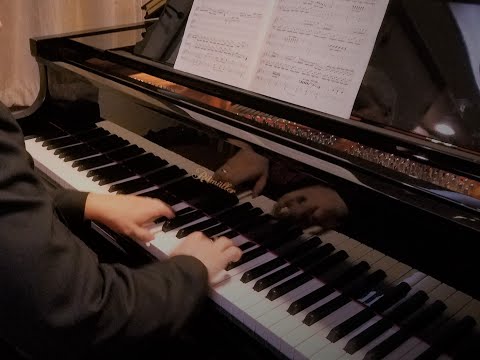 2021 FALL Virtual CONCERT  Lake County Symphony Chamber Orchestra Haydn Piano Concerto in D Major