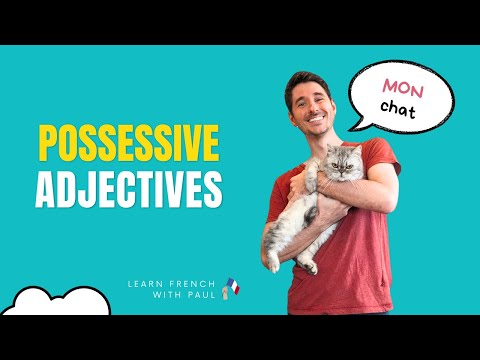 The French Possessive Adjectives | in 6 minutes