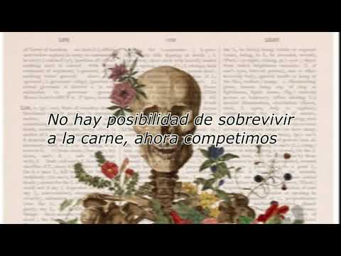 Julian Plenti - No Chance Survival ( Sub Español )