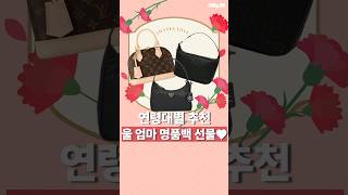 프라다 리나일론 호보백_1NE515 RDH0 F0002_동영상_이미지