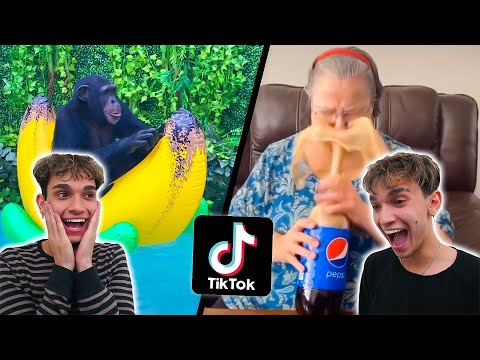 Funny TikTok Videos To Watch When You're BORED!