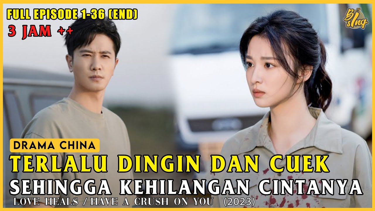 The Struggle to Regain Lost Love | Full Storyline of Drama Love Heals