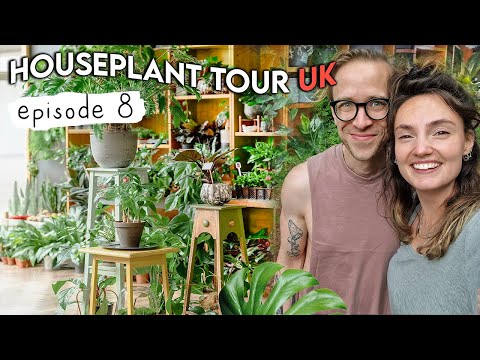 HOUSE PLANT TOUR UK | Episode 8 🌿 Hugo & Green
