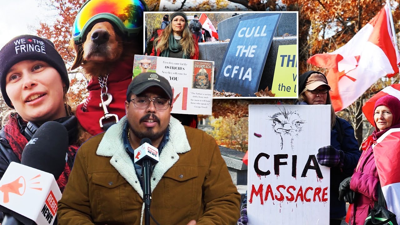 'Cull the CFIA': Patriots in Toronto organize farmers’ protest after ostrich massacre