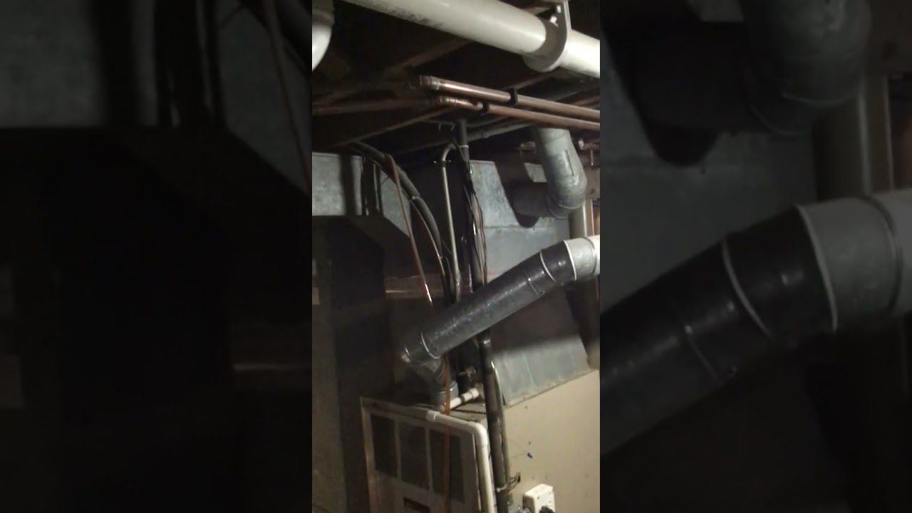 Call #IMG 1175917(1)