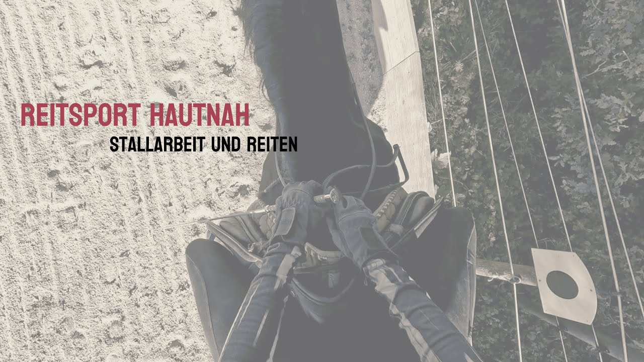 Reitsport hautnah - Tag 3