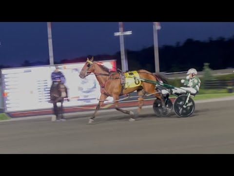 2025 Mohawk Gold Cup (GR.3) Field