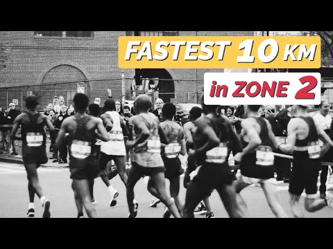 HOW FAST CAN I RUN 10KM in HR Zone 2?