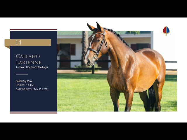 Callaho Larienne