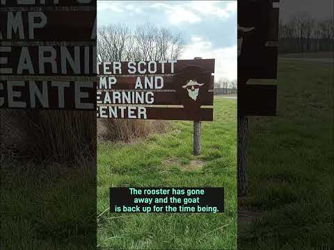 Walter Scott Week in Review No. 137 #CampWalterScott #ccdoc #camp #goats #effinghamil