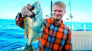 Рыбалка на bali price