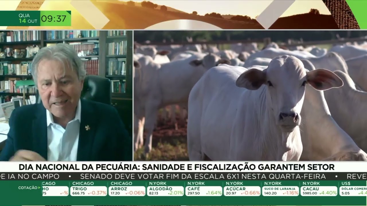 Dia Nacional da Pecuária: sanidade e qualidade fortalecem a carne brasileira