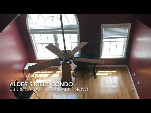 47 Alder Street Condo Waltham