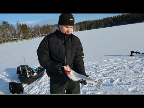 KIRJOLOHI PILKILLÄ EVON NIEMISJÄRVILLÄ | VINKKEJÄ KIRJOLOHEN PILKINTÄÄN