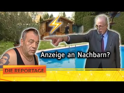 "I'm very scared!" - Argument among tree lovers🌳 | 2/2 | The report | ATV