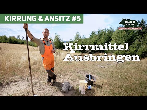 Kirrmittel Ausbringen | Kirrung und Ansitz #5