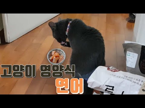 아이콘