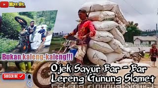 Download lagu OJEK SAYUR BARBAR!!! BUKAN KALENG KALENG ll LERENG GUNUNG SLAMET mp3