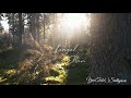 Ennavale Adi Ennavale WhatsApp Status A R Rahman Hits Kadhalan Sathyasri