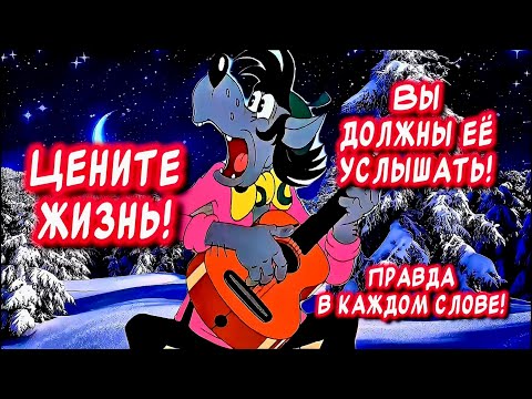 ЦЕНИТЕ ЖИЗНЬ‼️…ВЫ Должны ЕЁ Услышать! Шансон для души Мудрость в каждом слове!!!