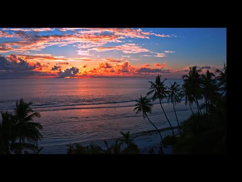 Kate Capella - Take The Leap