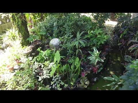 dji mini se evaluation video (yaw motor issue)