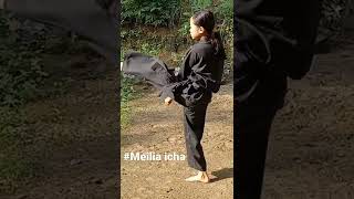 Download lagu Tunggal jurus 1 mp3
