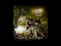 Children of Bodom - Roundtrip to Hell and Back (Filtered Instrumental)