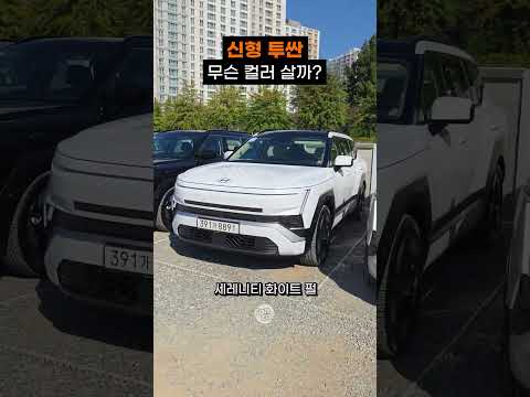 신형 투싼 무슨 컬러로 살까?
