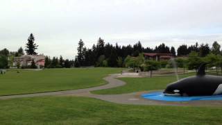 Bellevue - Crossroads Neighborhood Video Tour