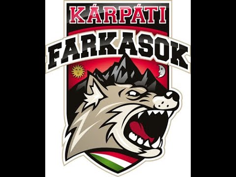 Kárpáti Farkasok OBIV/C - Út a döntőig