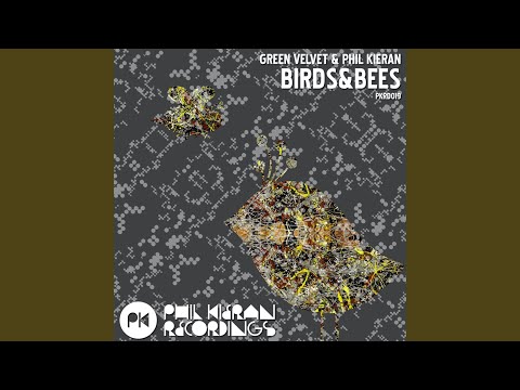 Birds & Bees (Original Mix)