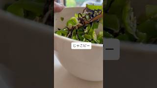 じゃこピー#野菜 #料理 #簡単副菜 #簡単レシピ #cooking