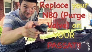 Replacing the N80 Purge Valve on a 2012 Passat