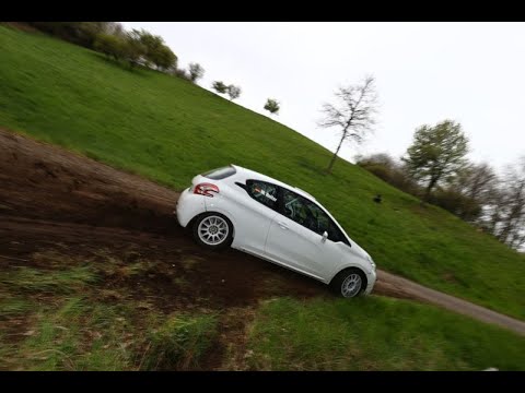 Test Max Reiter I Peugeot 208 R2