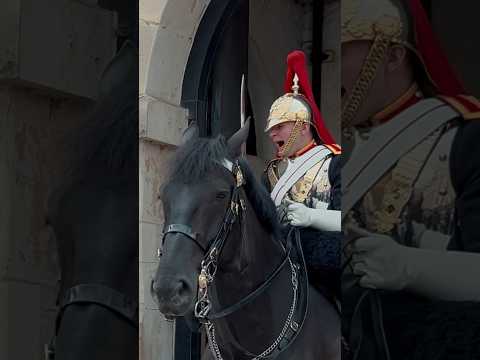 THE LOUDEST ‘GET BACK!’ ⚡️💂 | Horse Guards, Royal guard, Kings Guard, Horse, London, 2024