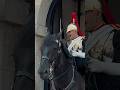 THE LOUDEST GET BACK ️ Horse Guards Royal Guard Kings Guard Horse London 2024
